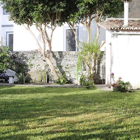City Center, 200 Meters To Marina, Walk To Everything, Private Yard And Garden Ponta Delgada Eksteriør billede