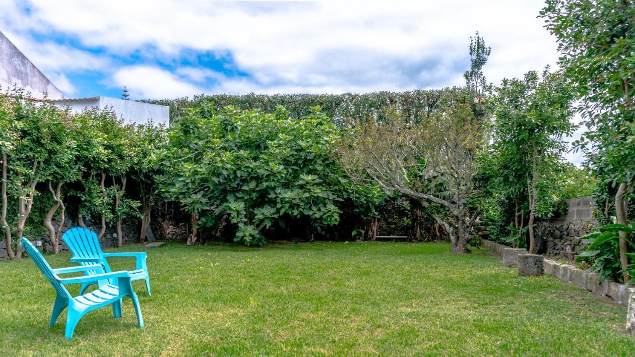 City Center, 200 Meters To Marina, Walk To Everything, Private Yard And Garden Ponta Delgada Eksteriør billede