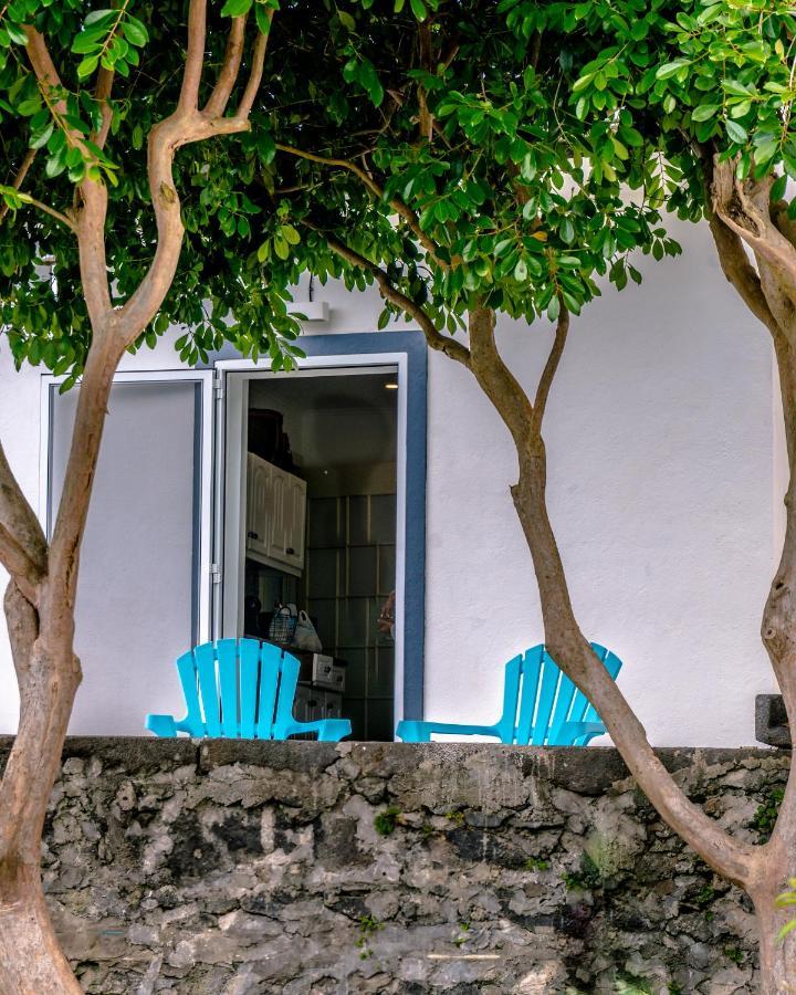 City Center, 200 Meters To Marina, Walk To Everything, Private Yard And Garden Ponta Delgada Eksteriør billede