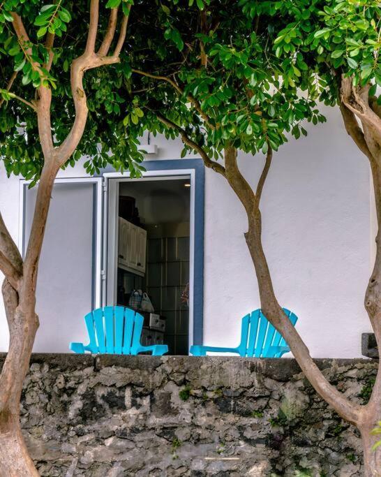 City Center, 200 Meters To Marina, Walk To Everything, Private Yard And Garden Ponta Delgada Eksteriør billede